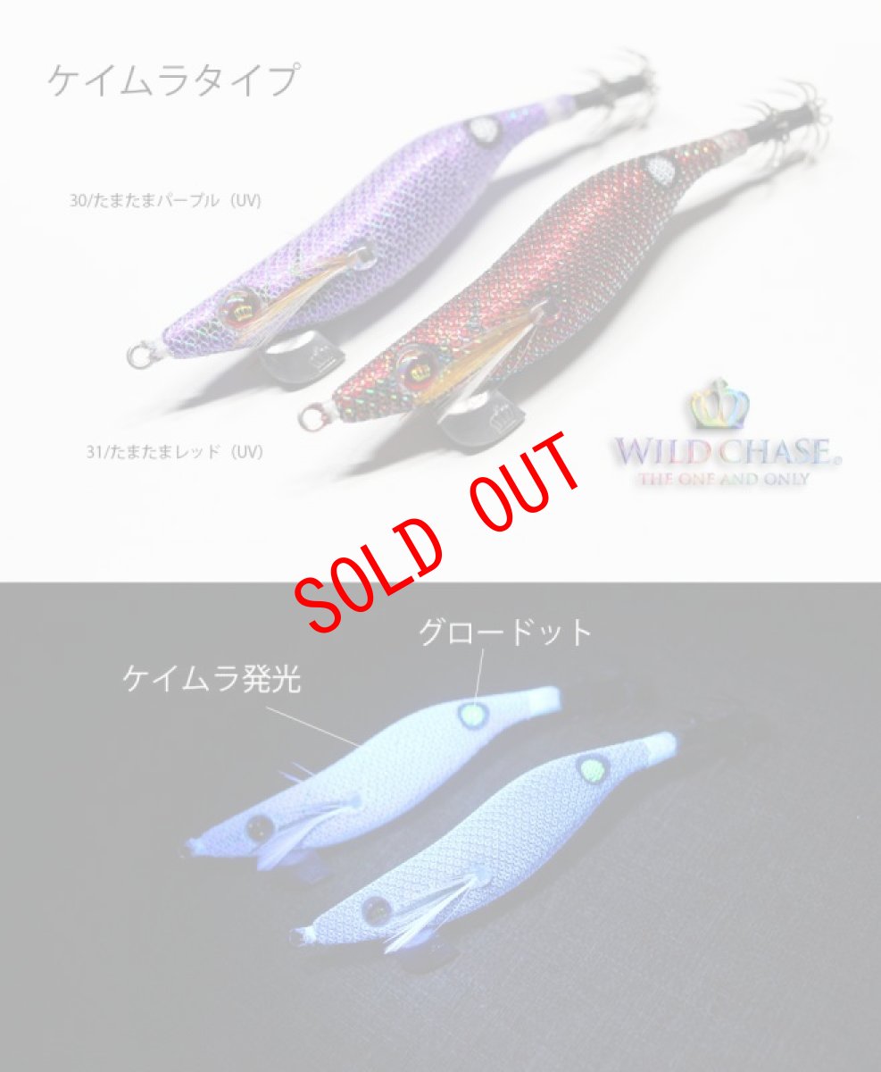 画像3: WILD CHASE 2.5号 （30）たまたまパープルUV (3)
