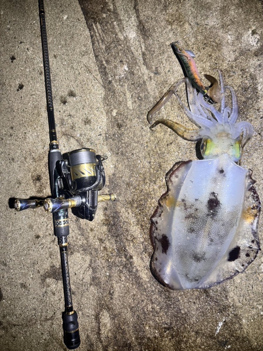 画像3: WILD CHASE 3.5号#KL04 神明グリーン (3)