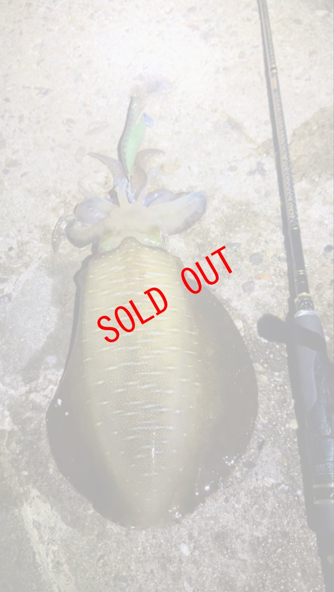 画像6: 【セット販売】数量限定！神明シリーズ WILD CHASE 3.5号 レジェンドオリカラ第1弾 (6)