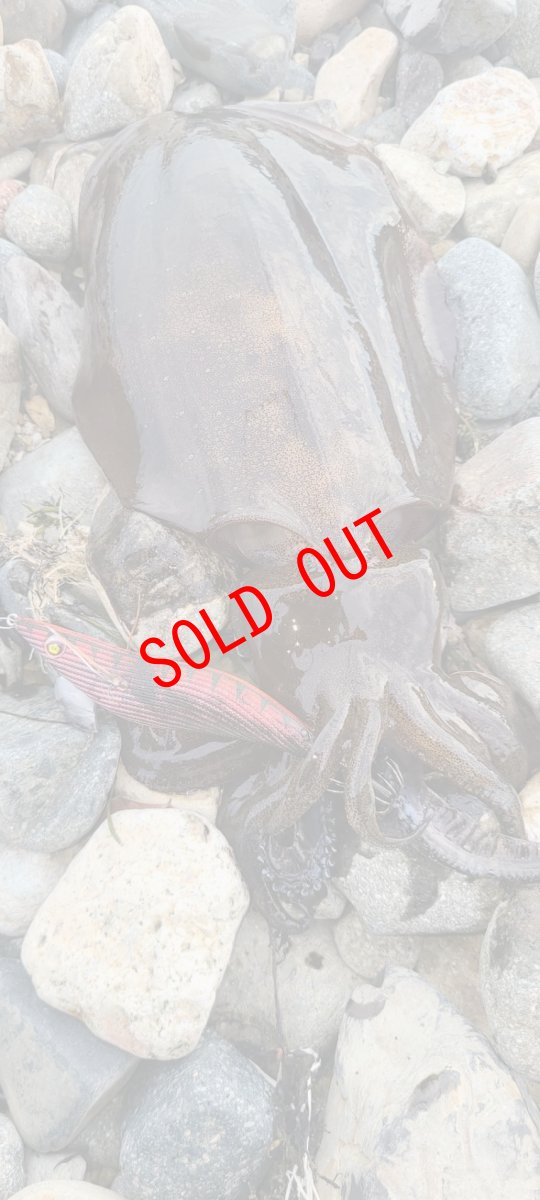 画像7: 【セット販売】数量限定！神明シリーズ WILD CHASE 3.5号 レジェンドオリカラ第1弾 (7)