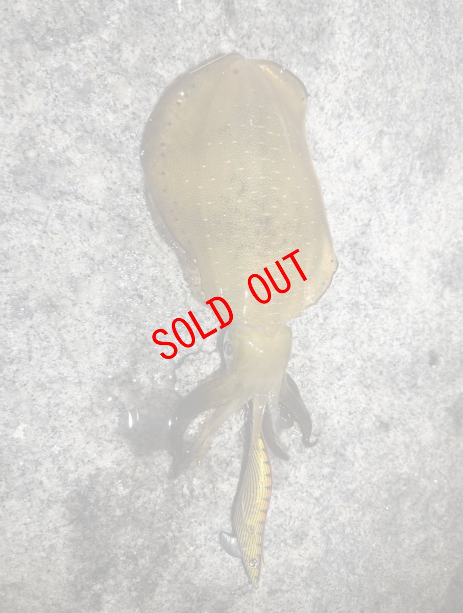 画像8: 【セット販売】数量限定！神明シリーズ WILD CHASE 3.5号 レジェンドオリカラ第1弾 (8)