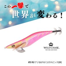 画像1: WILD CHASE 3.5号S/シャローtune（55）RG アジ泳がせ コガネピンク UV (1)