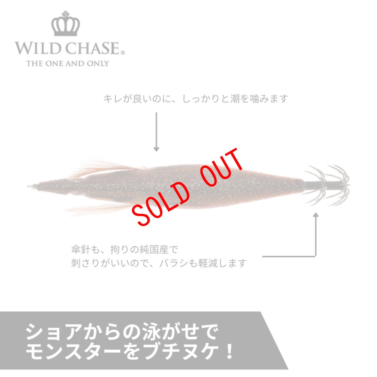 画像3: WILD CHASE 3.5号S/シャローtune(60)RG アジ泳がせ プレミアブラウン UV (3)