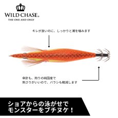画像3: WILD CHASE 3.5号S/シャローtune（56） RG アジ泳がせ カスミオレンジ UV (3)