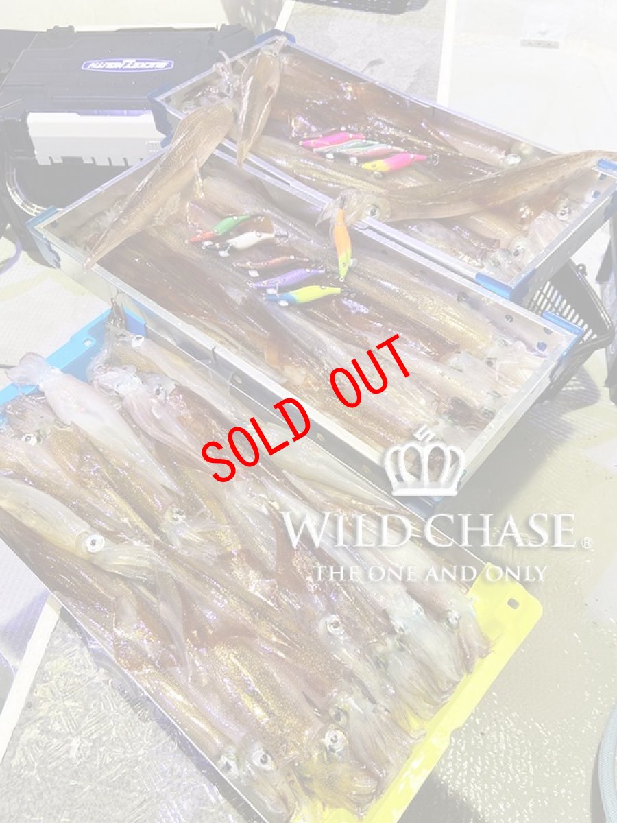 画像5: WILD CHASE 2.5号 #28 ミニキャロット (5)