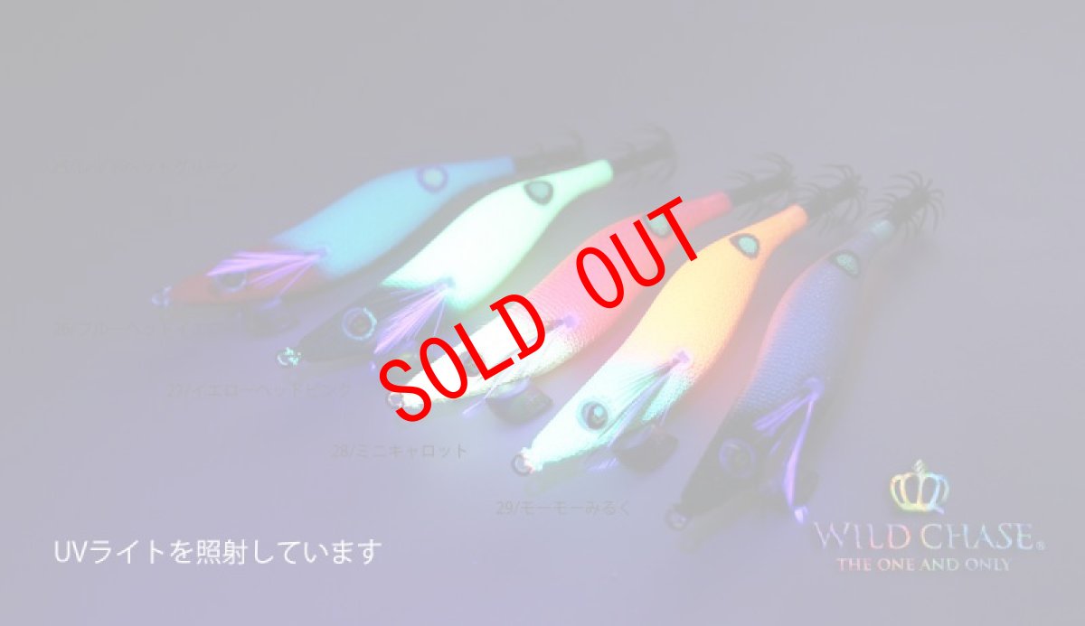 画像3: WILD CHASE 2.5号 #28 ミニキャロット (3)