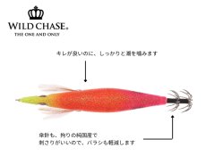 画像3: WILD CHASE 3.0号#61 RG/閃光トロピカルピンク(UV) (3)