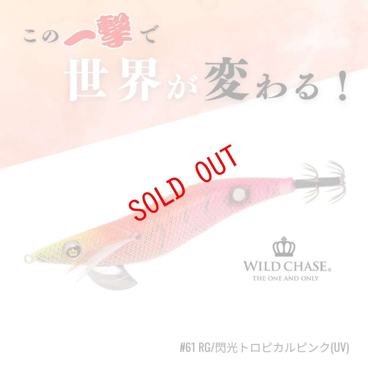 画像1: WILD CHASE 3.0号#61 RG/閃光トロピカルピンク(UV) (1)
