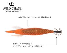 画像3: WILD CHASE 3.0号#62 RG/閃光メープルオレンジ(UV) (3)