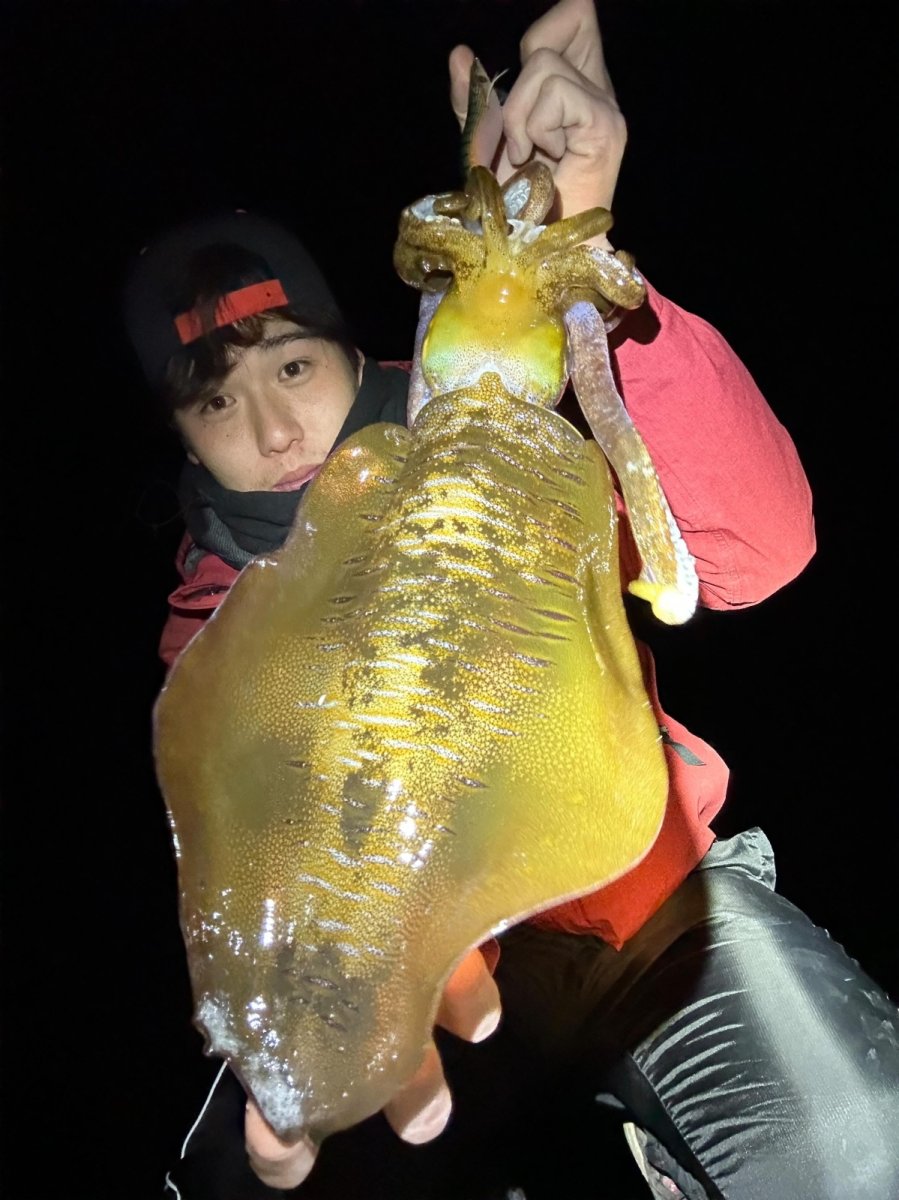 画像6: WILD CHASE 3.5号＃KL04 神明グリーン (6)