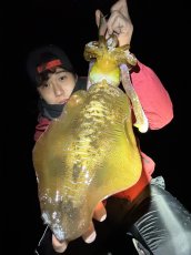 画像6: WILD CHASE 3.5号＃KL04 神明グリーン (6)