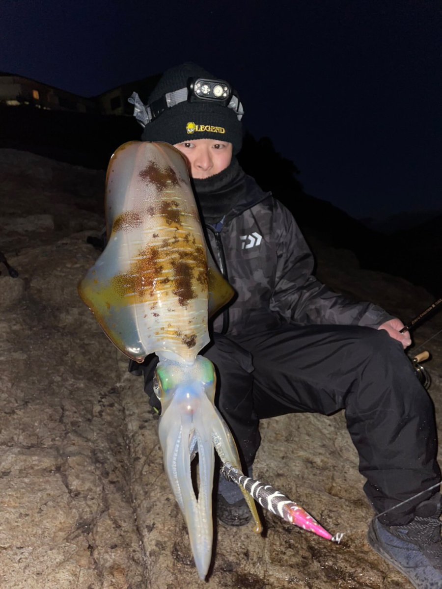 画像5: WILD CHASE 3.5号＃KL07 雅（グロー） (5)