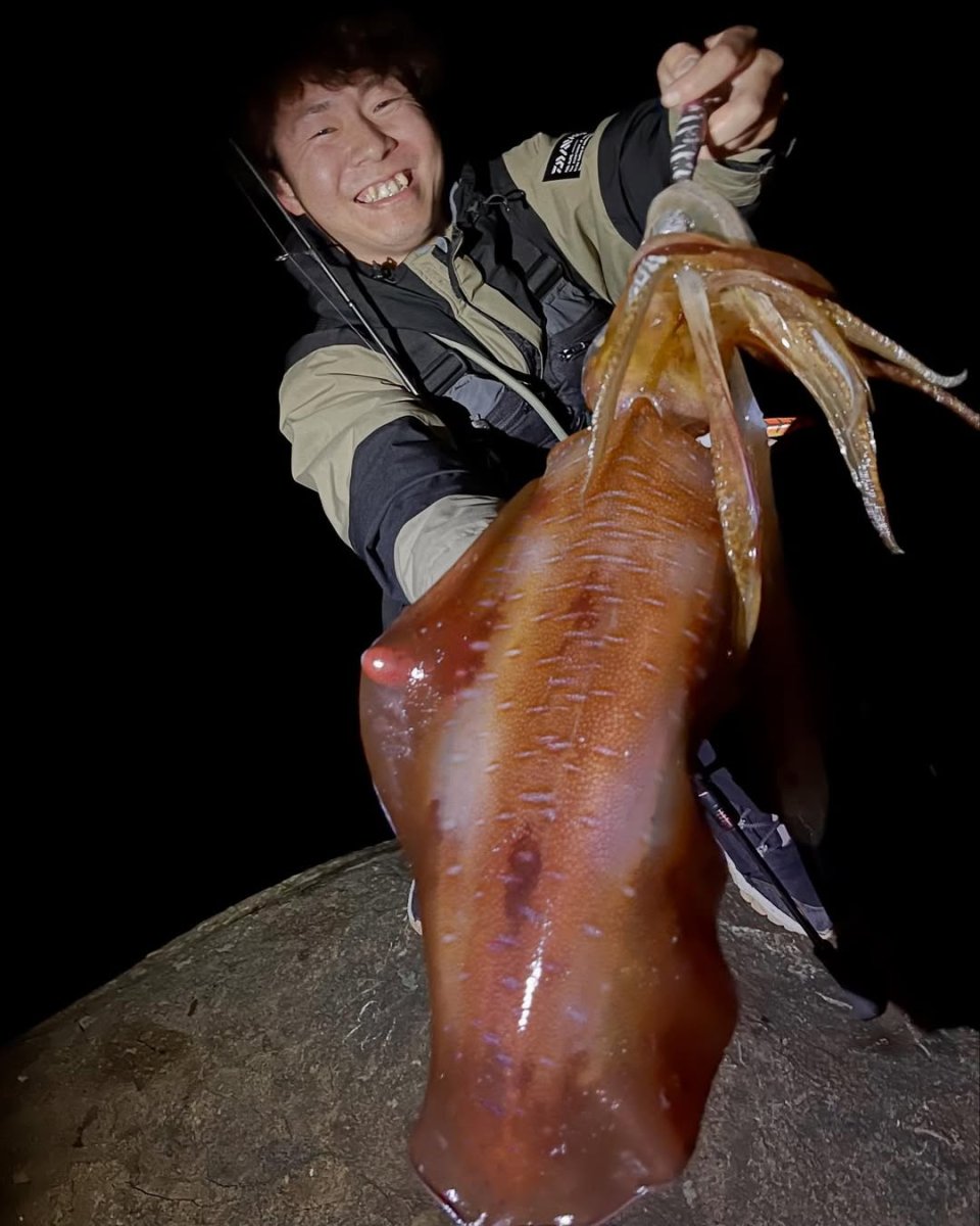 画像7: WILD CHASE 3.5号＃KL07 雅（グロー） (7)