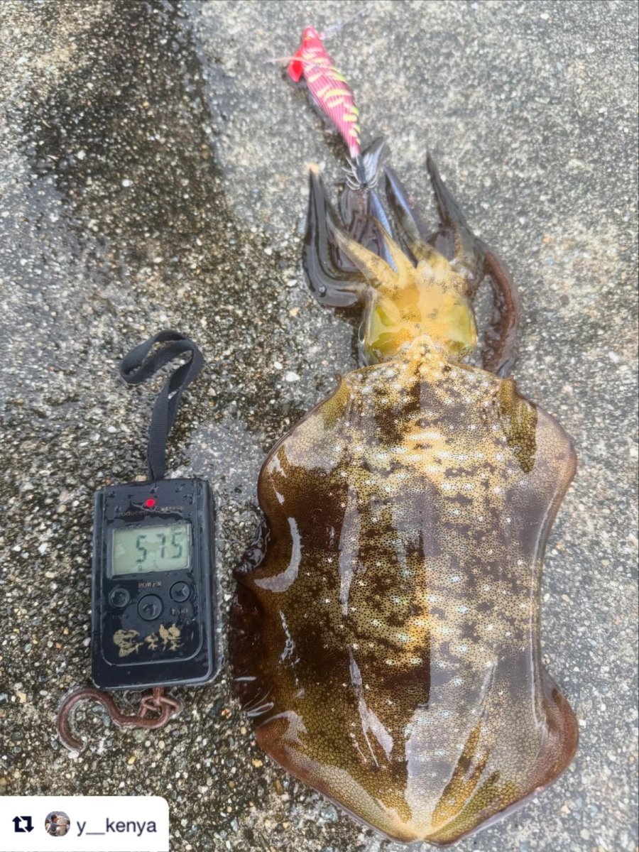 画像11: WILD CHASE/B-TR 3.0号 25ｇ/＃BTKL02 胸キュンレッド (11)