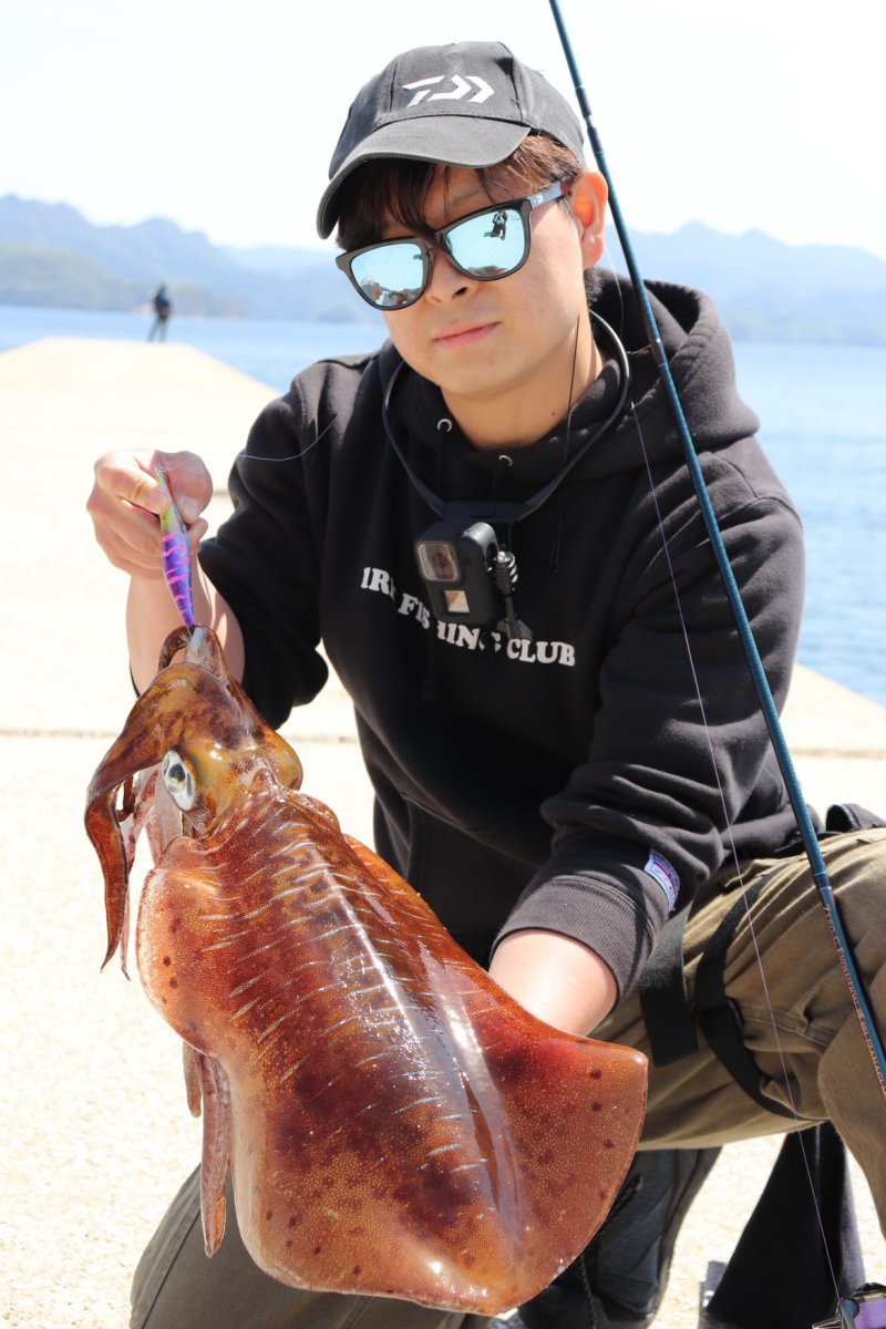 画像5: WILD CHASE 3.5号＃KL06 紫月(UV) (5)