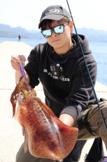 画像5: WILD CHASE 3.5号＃KL06 紫月(UV) (5)