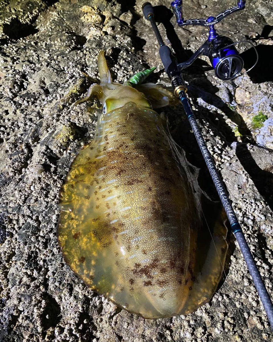 画像5: WILD CHASE 3.5号＃KL08 萌葱（グロー） (5)