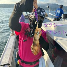 画像6: WILD CHASE/B-TR 3.0号 25ｇ/＃BTKL01 セクシーバイオレット (6)