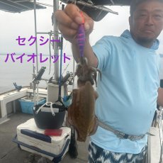 画像12: WILD CHASE/B-TR 3.0号 25ｇ/＃BTKL01 セクシーバイオレット (12)