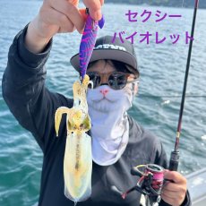 画像11: WILD CHASE/B-TR 3.0号 25ｇ/＃BTKL01 セクシーバイオレット (11)