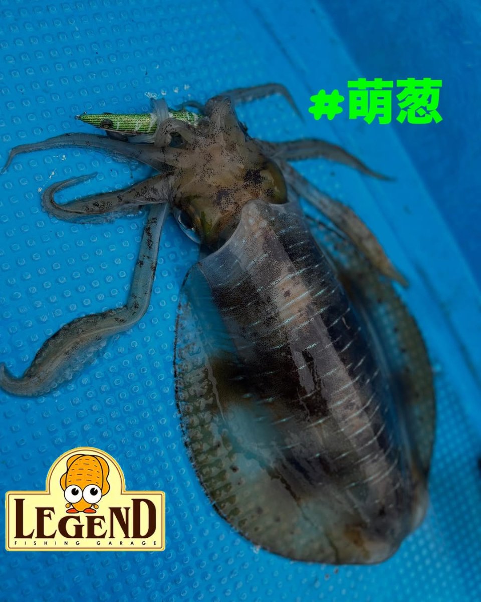 画像4: WILD CHASE 3.5号＃KL08 萌葱（グロー） (4)