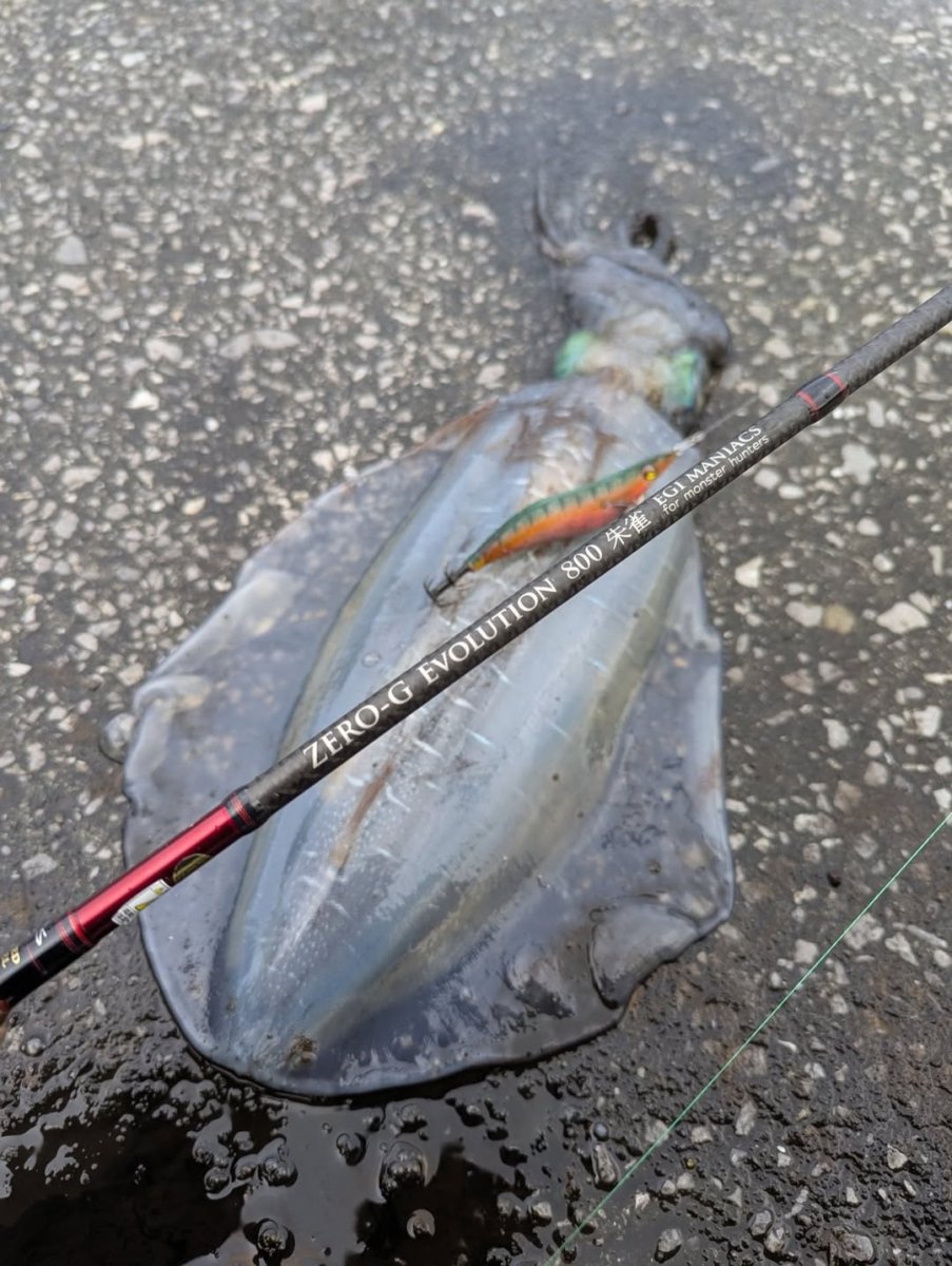 画像8: WILD CHASE 3.5号＃KL04 神明グリーン (8)