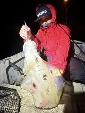 画像4: WILD CHASE 3.5号＃KL07 雅（グロー） (4)