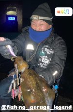 画像8: WILD CHASE 3.5号＃KL06 紫月(UV) (8)