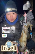 画像10: WILD CHASE 3.5号＃KL07 雅（グロー） (10)