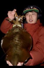 画像8: WILD CHASE 3.5号＃KL03 神明オレンジ (8)