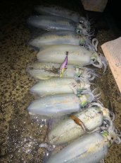 画像2: WILD CHASE 3.5号＃KL06 紫月(UV) (2)