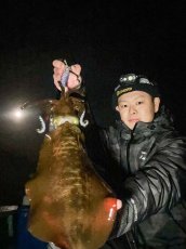 画像7: WILD CHASE 3.5号＃KL06 紫月(UV) (7)