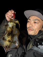 画像4: WILD CHASE 3.5号＃KL02 神明レッド (4)