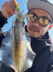 画像8: WILD CHASE 3.5号＃KL05琥珀(UV) (8)