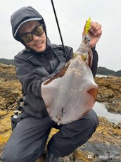 画像2: WILD CHASE 3.5号＃KL05琥珀(UV) (2)