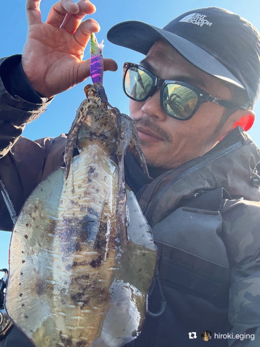 画像16: WILD CHASE 3.5号＃KL06 紫月(UV) (16)