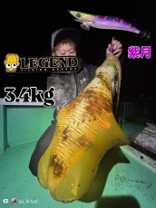 画像2: WILD CHASE 3.5号＃KL06 紫月(UV) (2)
