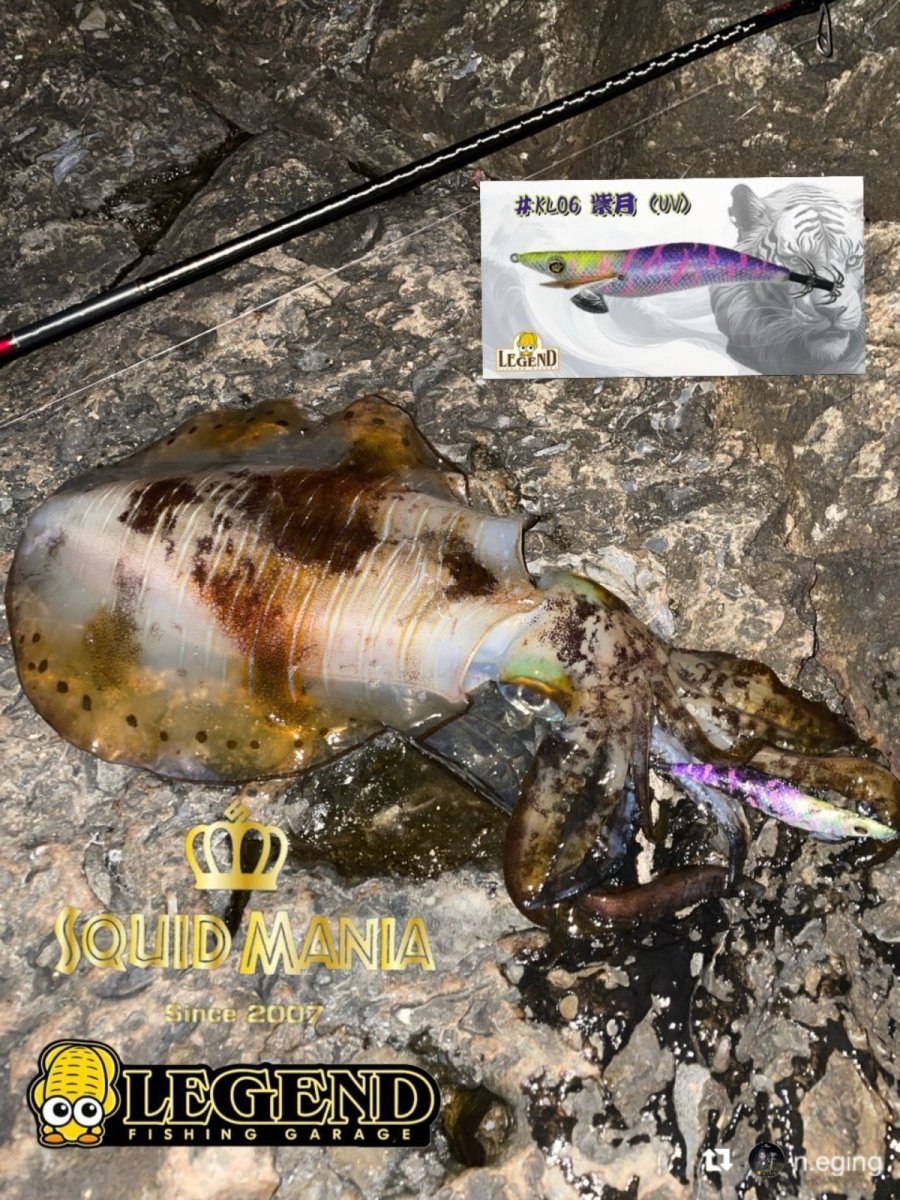 画像18: WILD CHASE 3.5号＃KL06 紫月(UV) (18)