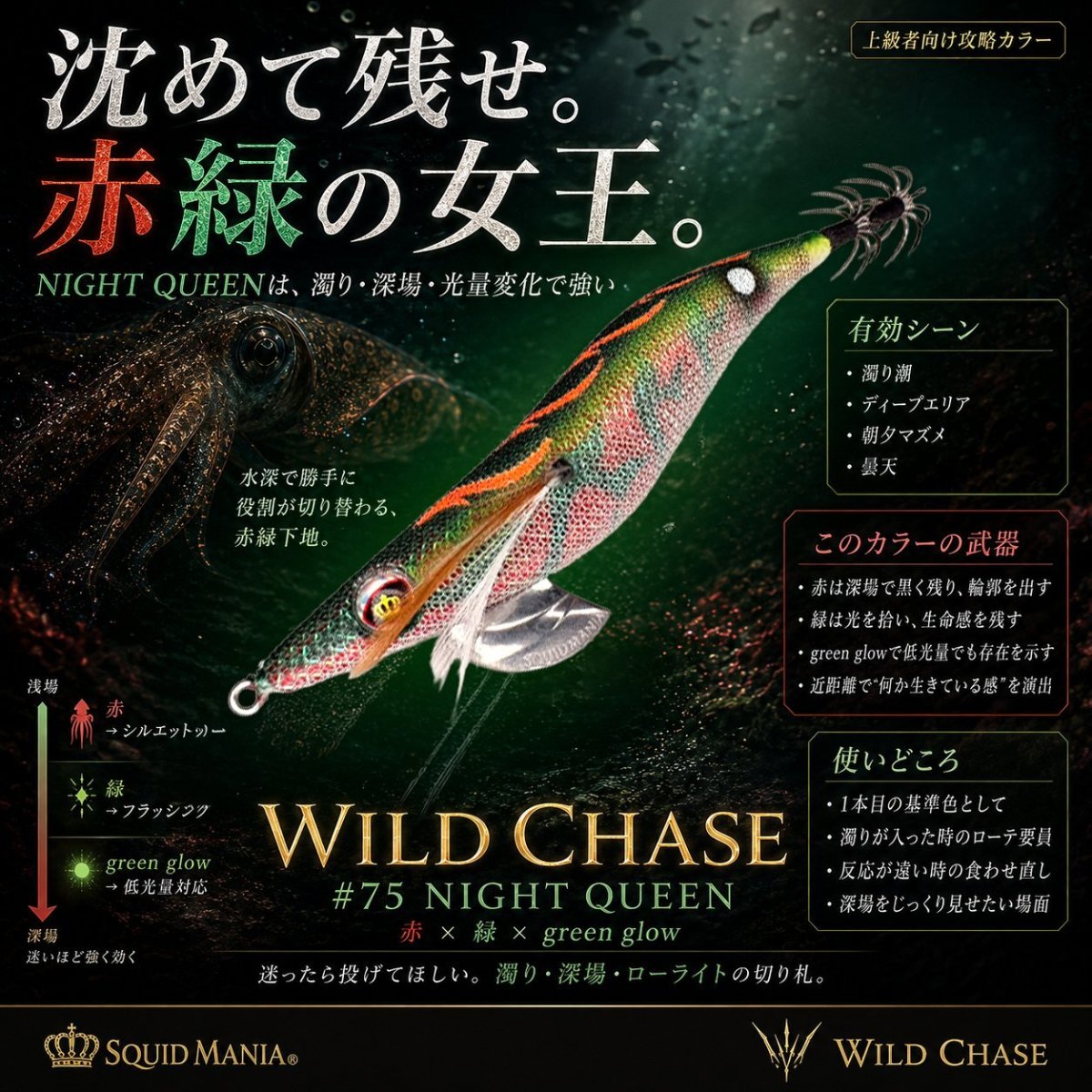 画像1: WILD CHASE 3.0号  (75) NIGHT QUEEN (1)